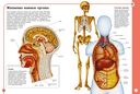 Первый атлас анатомии человека — фото, картинка — 3