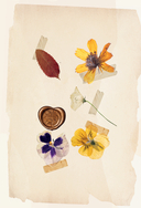 Под светом лампы — фото, картинка — 2