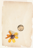 Под светом лампы — фото, картинка — 6