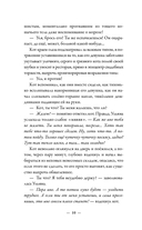 Дорога из вечной зимы — фото, картинка — 11