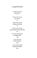 Детектив к зиме — фото, картинка — 5