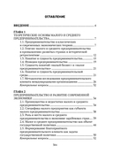 Государственная политика в сфере развития малого и среднего предпринимательства — фото, картинка — 3