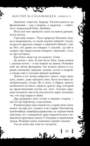 Костер и Саламандра. Книга 1 — фото, картинка — 15