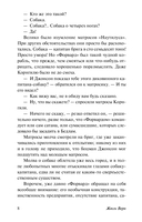 Путешествия и приключения капитана Гаттераса — фото, картинка — 9