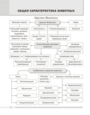Биология. 8 класс. Опорные конспекты, схемы и таблицы — фото, картинка — 4