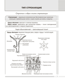 Биология. 8 класс. Опорные конспекты, схемы и таблицы — фото, картинка — 7