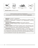 Биология. 8 класс. Опорные конспекты, схемы и таблицы — фото, картинка — 8