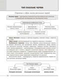 Биология. 8 класс. Опорные конспекты, схемы и таблицы — фото, картинка — 10