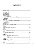 Французский язык. Лексика в картинках. 2-3 классы — фото, картинка — 3