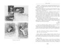 Птица в клетке. Письма 1872-1883 годов — фото, картинка — 7