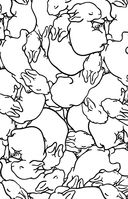 Раскраска для ленивых — фото, картинка — 9