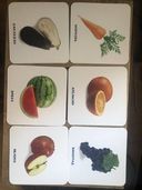 Умный чемоданчик. Мир вокруг нас — фото, картинка — 1