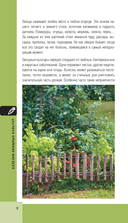 Болезни сада и огорода. Карманный атлас-определитель — фото, картинка — 8