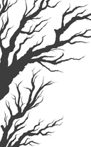 Что скрывается в ночи — фото, картинка — 7