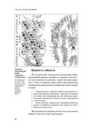 Искусство войны — фото, картинка — 62