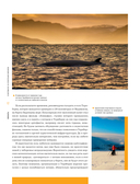 Календарь путешествий по России. Самые интересные места для отдыха на каждый месяц года — фото, картинка — 11