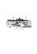 В тени первых героев. Белые пятна челюскинской эпопеи — фото, картинка — 4