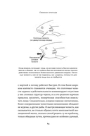 Ошибки природы. Пределы и несовершенство естественного отбора — фото, картинка — 9