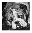 Когда тебе грустно... Как поднять себе настроение — фото, картинка — 11