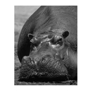 Когда тебе грустно... Как поднять себе настроение — фото, картинка — 13