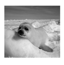 Когда тебе грустно... Как поднять себе настроение — фото, картинка — 15