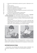 Оказание первичной доврачебной медико-санитарной помощи при неотложных и экстремальных состояниях — фото, картинка — 15
