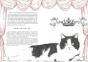 История кота, изменившего одну жизнь. Признание в любви — фото, картинка — 15
