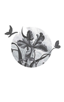 Убивая тени — фото, картинка — 1