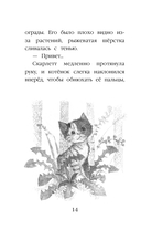 Котёнок Бусинка, или Друг с железной дороги (выпуск 49) — фото, картинка — 13