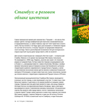 Из Турции с любовью. Турецкая кухня от Стамбула до Мардина — фото, картинка — 10