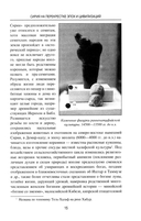 Сирия на перекрестке эпох и цивилизаций — фото, картинка — 4