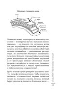 Вспышка. Как обезвредить инфекцию до появления осложнений — фото, картинка — 20