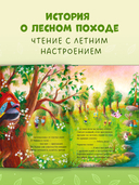 Прогулка по лесу — фото, картинка — 4