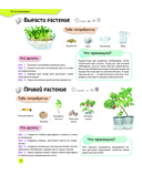 Изучаем в опытах: чудеса своими руками! — фото, картинка — 13