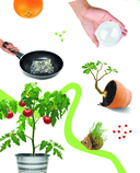 Изучаем в опытах: чудеса своими руками! — фото, картинка — 9