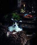 Nordic. Вдохновение, уют и еда со вкусом Севера — фото, картинка — 2