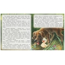 Гадкий утёнок — фото, картинка — 2