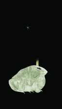 Русский код. Таро по русской классике (78 карт и руководство по работе с колодой в подарочном футляре) — фото, картинка — 3