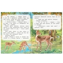 Лесные сказки — фото, картинка — 2