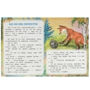 Лесные сказки — фото, картинка — 3