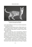 Кошки правят миром — фото, картинка — 17