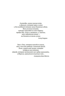 Кошки правят миром — фото, картинка — 7