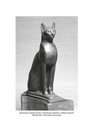 Кошки правят миром — фото, картинка — 8