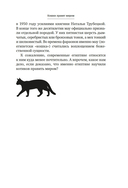 Кошки правят миром — фото, картинка — 19