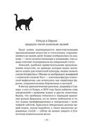 Кошки правят миром — фото, картинка — 12