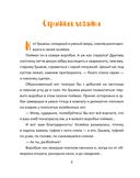 Кот на велосипеде — фото, картинка — 3