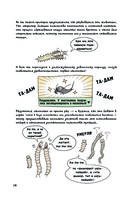 Фантастическая эволюция насекомых — фото, картинка — 14