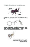 Фантастическая эволюция насекомых — фото, картинка — 8