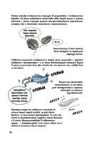 Фантастическая эволюция насекомых — фото, картинка — 10