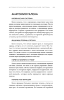 Все о лимфе. Как правильно заботиться о здоровье лимфатической системы и почему это важно — фото, картинка — 14